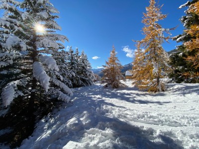 CHALET A VENDRE MONTGENEVRE