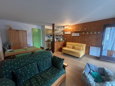 APARTMENT 1 ROOM FOR SALE - MONTGENEVRE VILLAGE - 35 m2 - 173000€