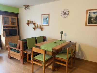APARTMENT 1 ROOM FOR SALE - MONTGENEVRE VILLAGE - 35 m2 - 173000€