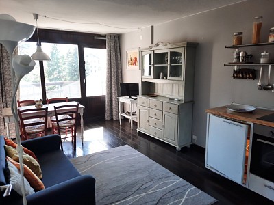 APPARTEMENT T2 AVEC COIN CABINE - MONTGENEVRE VILLAGE - 41.87 m2 - VENDU