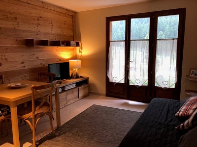 APARTMENT 2 ROOMS FOR SALE - MONTGENEVRE VILLAGE - 33 m2 - 195000 €