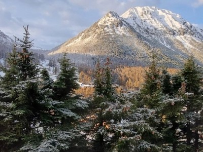 APPARTEMENT T2 COIN MONTAGNE A VENDRE - MONTGENEVRE VILLAGE - 40 m2 - 315000€