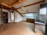 APARTMENT 3 ROOMS FOR SALE - MONTGENEVRE VILLAGE - 56.28 m2 - 355 000 &euro;